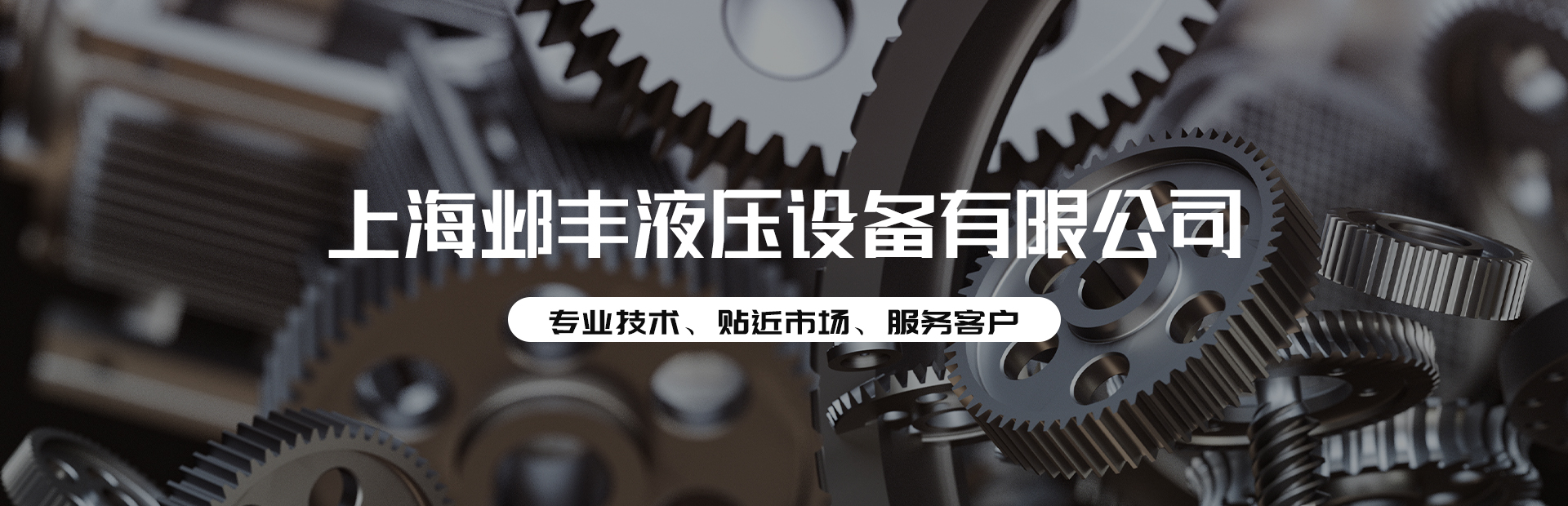 上海鄴豐液壓設備有限公司